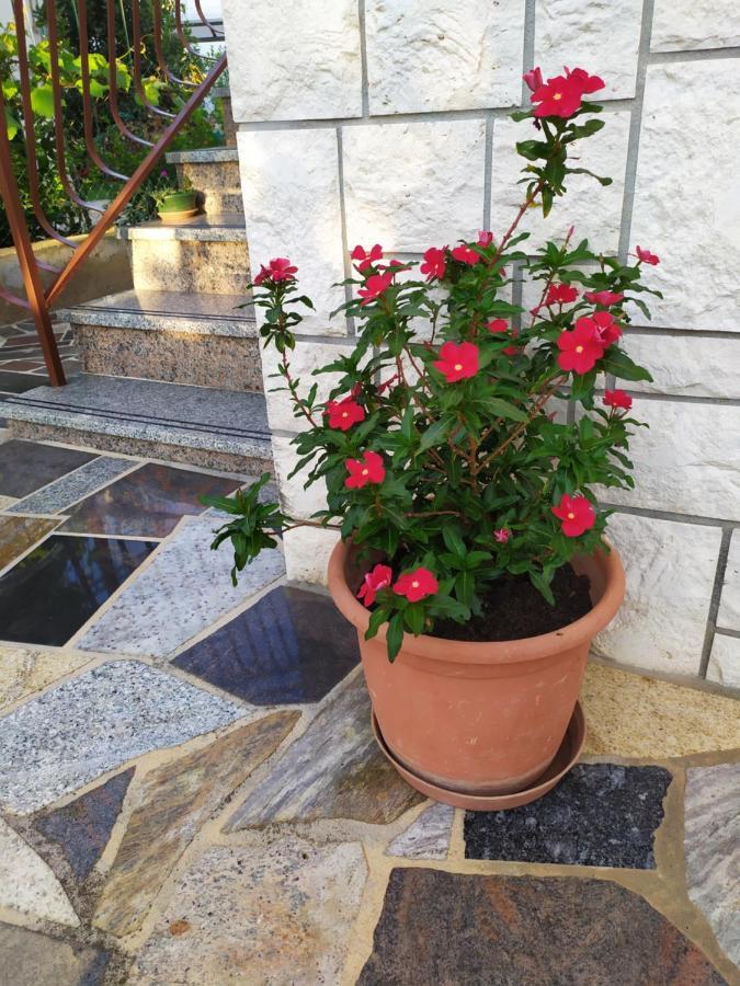 Apartments Samodol Vodice Eksteriør billede
